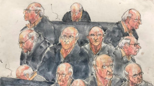 Au procès Le Scouarnec, l'heure du réquisitoire