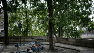 Un "Paris-Jardin" avec ombri&egrave;res: les recommandations pour adapter la capitale aux canicules