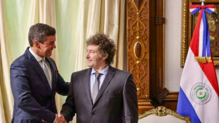 "Somos invencibles", dice el presidente paraguayo tras una reuni&oacute;n con el argentino Milei