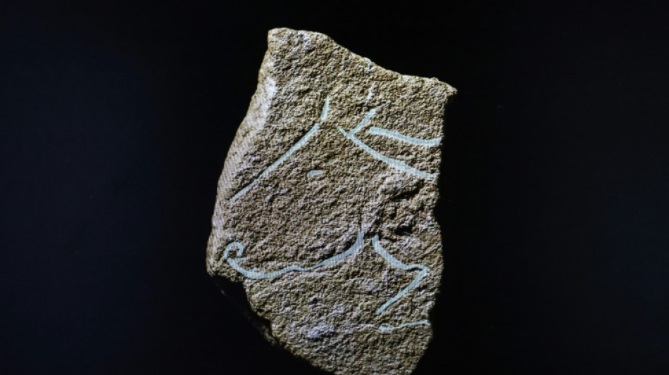 Des gravures pr&eacute;historiques contemporaines de Lascaux mises au jour aux portes de la Camargue