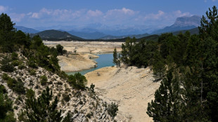 Studie: Verluste durch Extremwetter in Europa diesen Sommer bei 43 Milliarden Euro