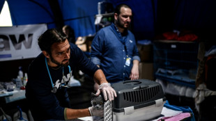 A la fronti&egrave;re ukrainienne, aider les r&eacute;fugi&eacute;s en soignant leurs animaux