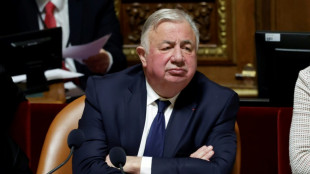 Larcher (LR) ne veut "ni suspension ni abrogation" de la r&eacute;forme des retraites