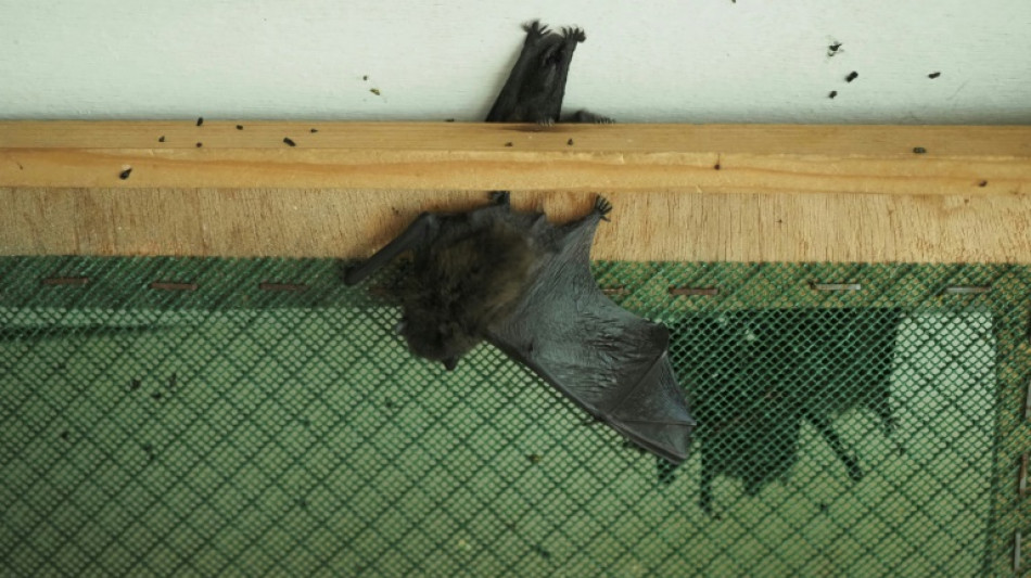 Betrieb von Windpark darf f&uuml;r Fledermausschutz nachtr&auml;glich eingeschr&auml;nkt werden