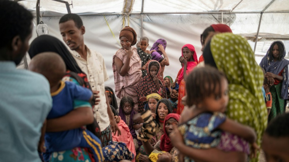 Ethiopie: Les enqu&ecirc;teurs de l'ONU saluent la coop&eacute;ration d'Addis Abeba