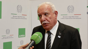 Malki, 'Netanyahu &egrave; l'unico ostacolo al cessate il fuoco'