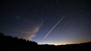 Starlink quiere proponer servicios de internet en Ir&aacute;n