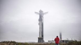 La fus&eacute;e Starship d'Elon Musk embo&icirc;te le pas &agrave; celle de Jeff Bezos