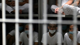 EEUU designa seis c&aacute;rteles mexicanos, el Tren de Aragua y la M-13 como organizaciones "terroristas"