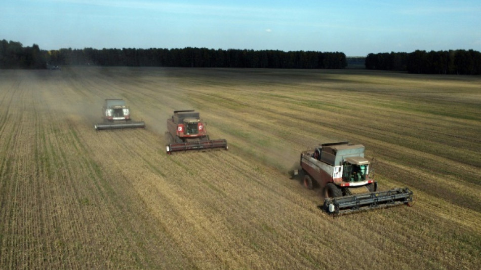 Ukraine: feu vert des 27 pour taxer les c&eacute;r&eacute;ales russes import&eacute;es dans l'UE