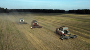 Ukraine: feu vert des 27 pour taxer les c&eacute;r&eacute;ales russes import&eacute;es dans l'UE