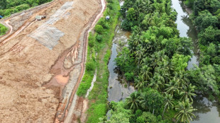 Philippines biodiversity hotspot pushes back on mining