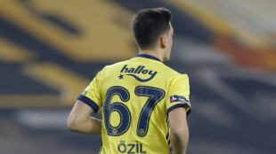 &Ouml;zil und Fenerbahce l&ouml;sen Vertragsverh&auml;ltnis