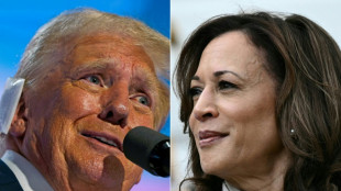 La campa&ntilde;a de Kamala Harris est&aacute; en marcha: fiscal contra delincuente convicto
