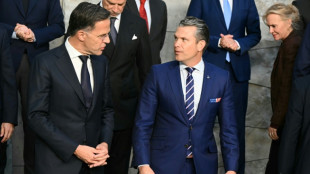 Rutte und Hegseth erwarten mehr Waffenk&auml;ufe von Nato-L&auml;ndern in den USA