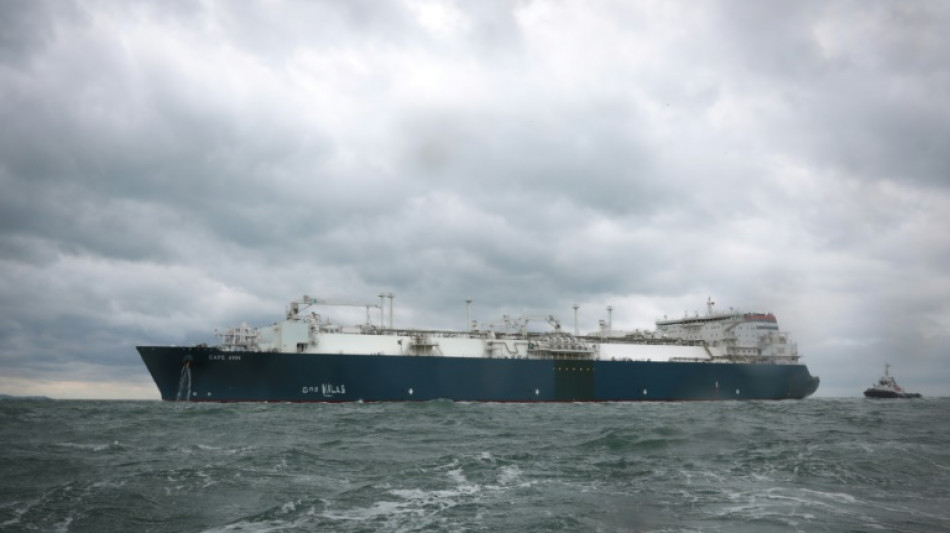 Europaparlament fordert Importstopp f&uuml;r russisches Fl&uuml;ssiggas