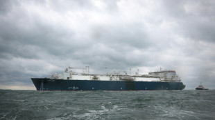 Europaparlament fordert Importstopp f&uuml;r russisches Fl&uuml;ssiggas