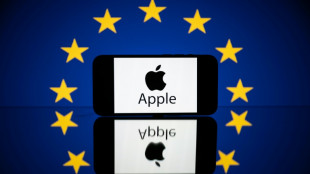 Apple appeals 500-mn-euro EU fine