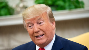 Wsj rivela lettera oscena Trump a Epstein per suoi 50 anni