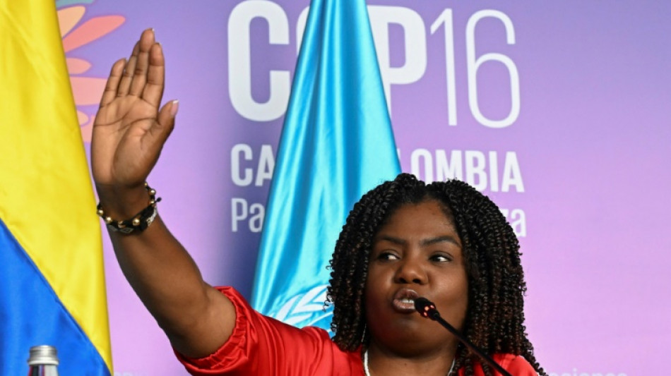 Vice-presidente da Col&ocirc;mbia denuncia amea&ccedil;as de morte