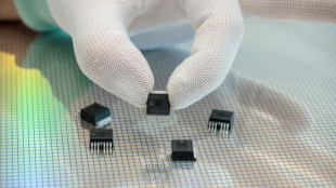 China: Exportbeschr&auml;nkungen f&uuml;r Rohstoffe nicht gegen bestimmtes Land gerichtet