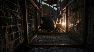 Nas trincheiras da Ucr&acirc;nia, promessas de paz de Trump s&atilde;o vistas com ceticismo