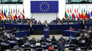 Los eurodiputados expresan preocupaci&oacute;n por la injerencia rusa y los supuestos contactos con catalanes