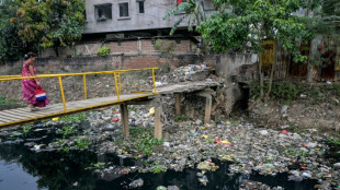 Global plastic recycling rates 'stagnant' at under 10%: study