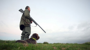 Gericht: F&ouml;rster hat Anspruch auf Erstattung von Tierarztkosten f&uuml;r Diensthund