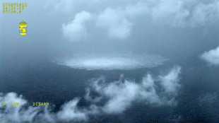 Nord Stream: une 4&egrave;me fuite, l'Otan d&eacute;nonce des sabotages "irresponsables"