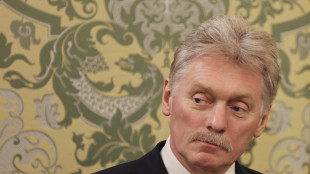 Cremlino, un trilaterale non &egrave; all'ordine del giorno