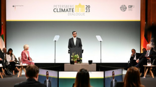 El presidente de COP28 insta a triplicar la capacidad de energ&iacute;as renovables para 2030