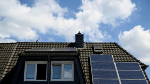 Erneuerbare: Auch kleinere Anlagenbetreiber sollen Strom k&uuml;nftig selbst vermarkten