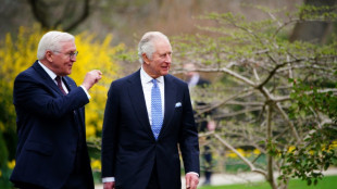 Steinmeier w&uuml;rdigt Partnerschaft zwischen Deutschland und Gro&szlig;britannien