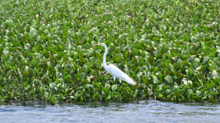 La Uni&oacute;n Europea contribuir&aacute; a regenerar el Lago de Yojoa, en Honduras