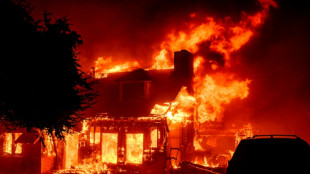 Heftige Br&auml;nde w&uuml;ten in Los Angeles - zahlreiche Prominente unter den Fl&uuml;chtenden