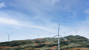 Iea, nel 2030 met&agrave; elettricit&agrave; globale dalle rinnovabili