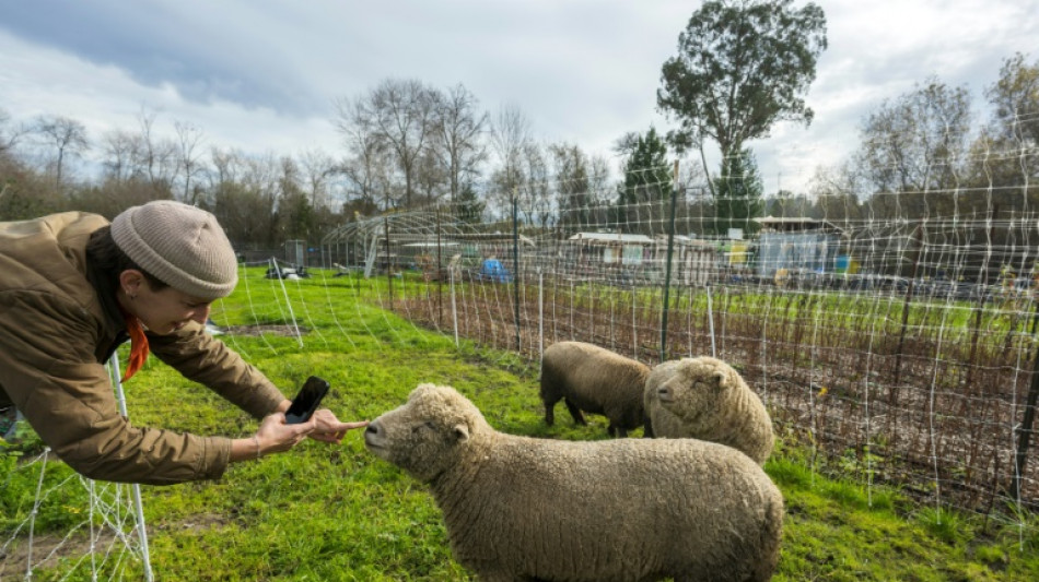 Facebook, service quasi public entr&eacute; dans les m&oelig;urs, de la Californie au Vietnam