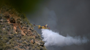 Pelo menos 12 mortos e 23 desaparecidos em inc&ecirc;ndio no sul da Espanha