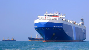 Impacto econ&ocirc;mico dos ataques no Mar Vermelho permanece 'moderado', diz OMC