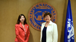 Argentina reitera en Washington que cumplir&aacute; metas pactadas con el FMI