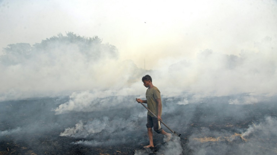Pollution: la capitale indienne asphyxi&eacute;e ferme ses &eacute;coles