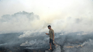 Pollution: la capitale indienne asphyxi&eacute;e ferme ses &eacute;coles