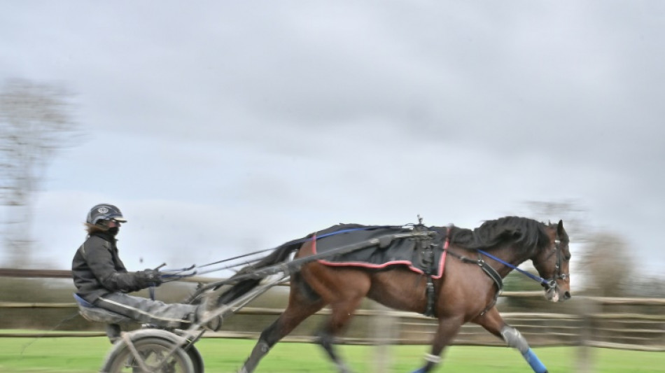 Le champion du monde du trot Idao de Tillard se qualifie pour l'Am&eacute;rique 