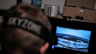 Ue, 'abbiamo capacit&agrave; satellitari, siamo pronti ad aiutare Kiev'