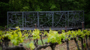 Bob Dylan expone una instalaci&oacute;n y pinturas en la Provenza francesa