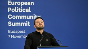 Zelensky quer o fim da guerra com a R&uacute;ssia em 2025 por 'meios diplom&aacute;ticos'