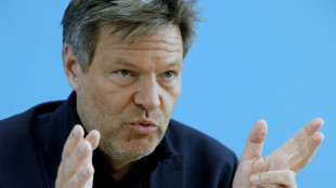 Habeck wirbt f&uuml;r staatlich subventionierten Industriestrompreis