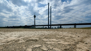 Petition zum Renaturierungsgesetz erreicht &uuml;ber eine Million Unterschriften