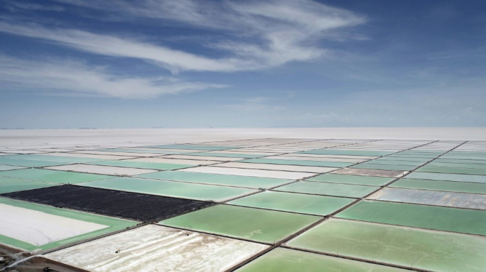 Studie: Wirtschaft muss bei wichtigen Rohstoffen widerstandsf&auml;higer werden